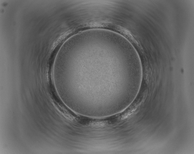 X0000068810299200605051152