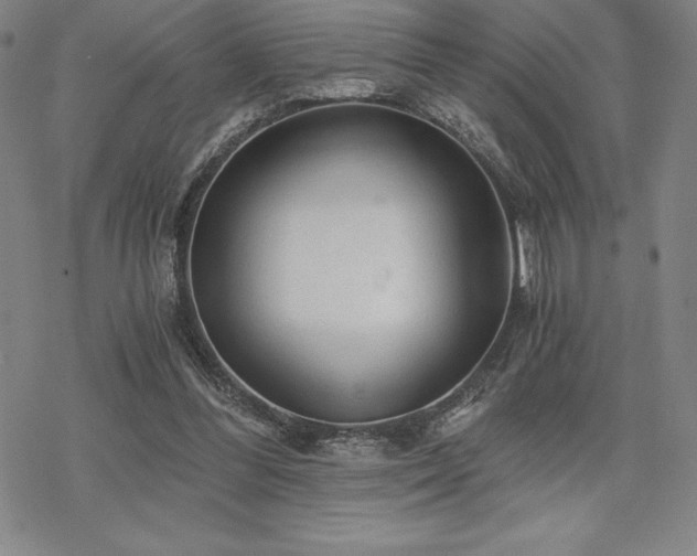 X0000068810300200605051152