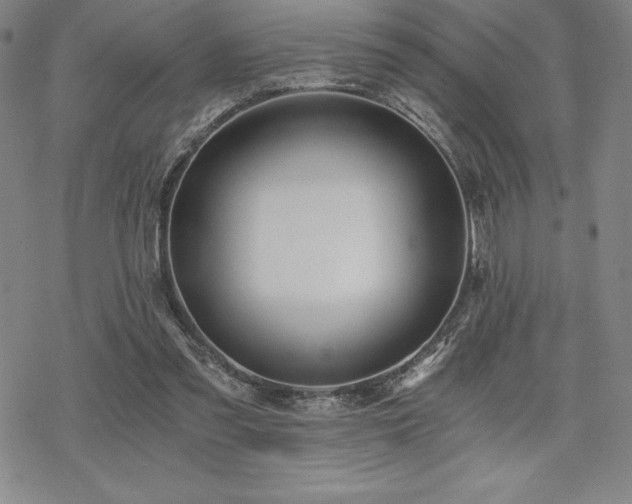 X0000068810301200605051152