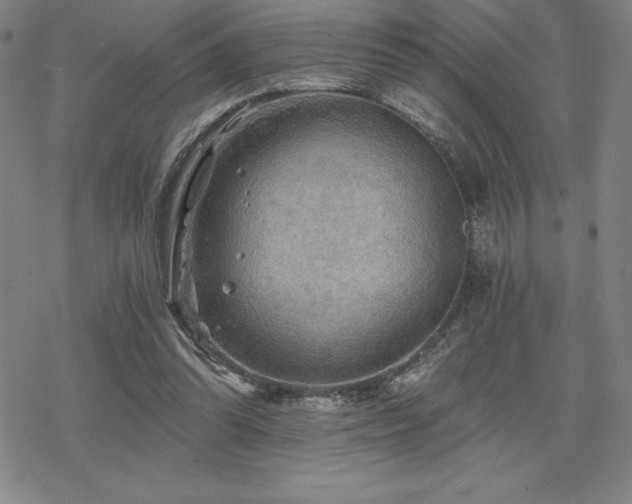 X0000068810302200605051152