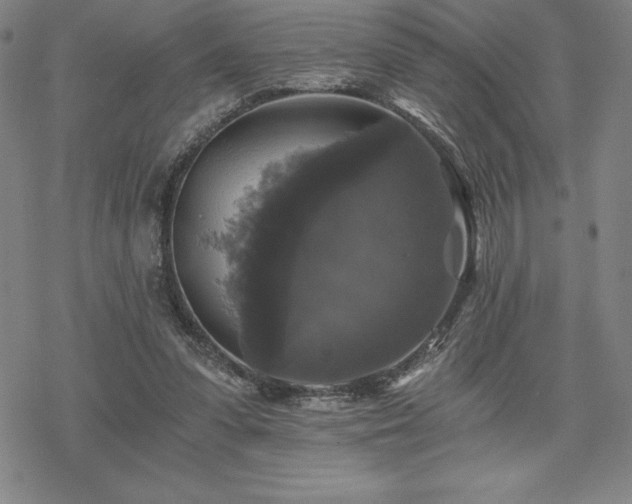 X0000068810303200605051152