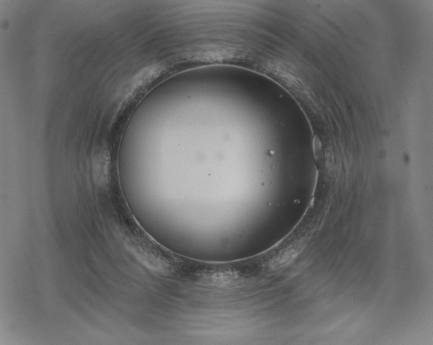 X0000068810304200605051152