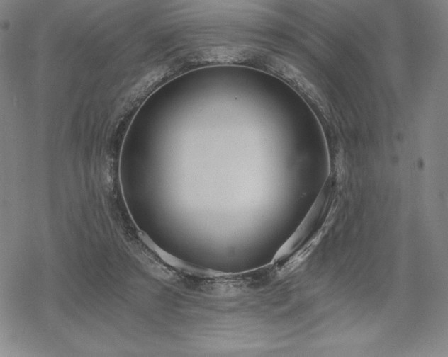 X0000068810305200605051152