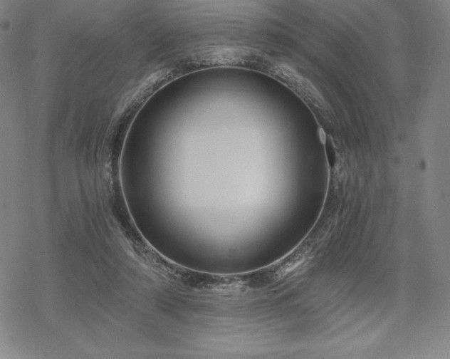 X0000068810306200605051152