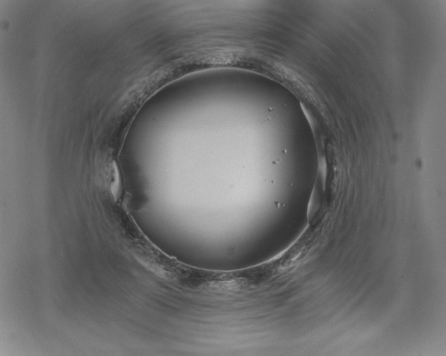 X0000068810307200605051152