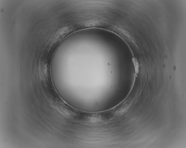 X0000068810308200605051152