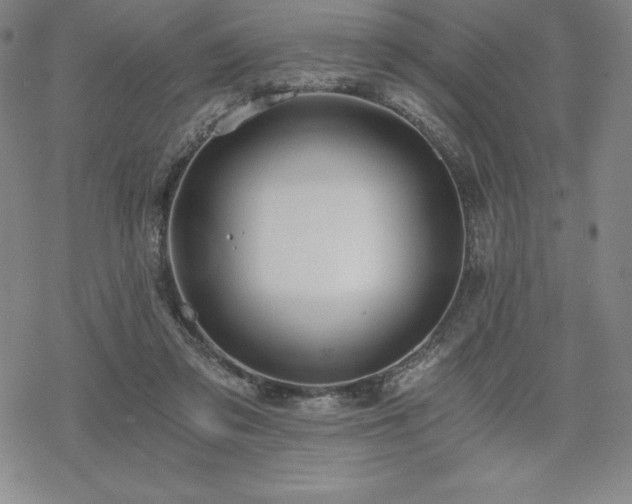 X0000068810309200605051152