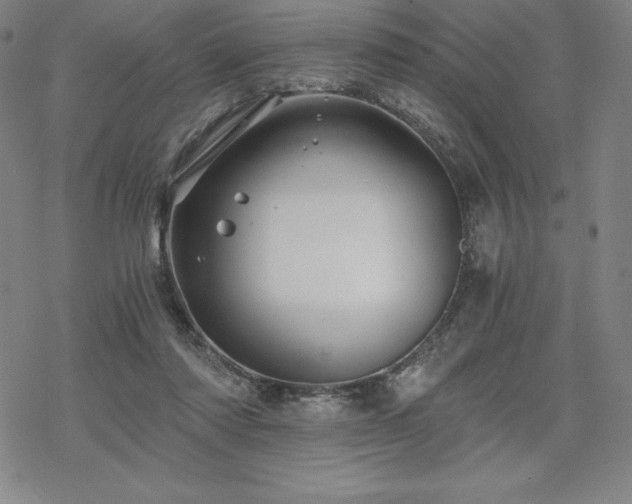 X0000068810310200605051152