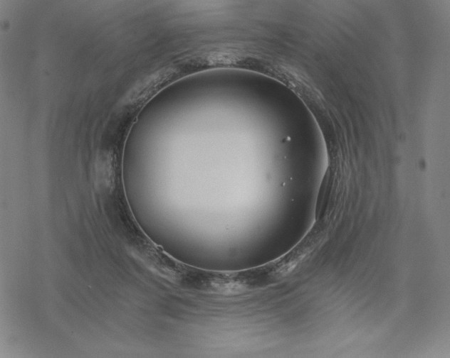 X0000068810311200605051152