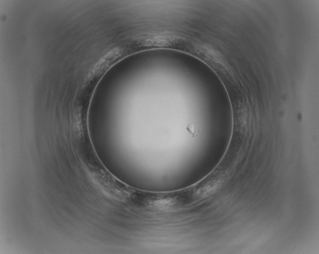 X0000068810312200605051152