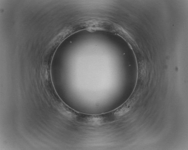 X0000068810313200605051152