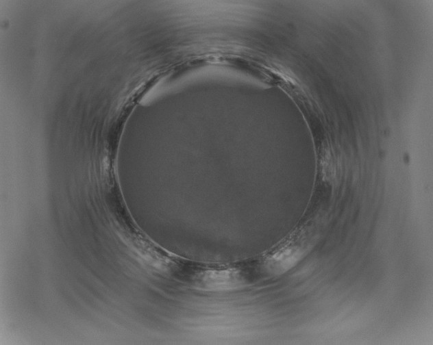 X0000068810314200605051152