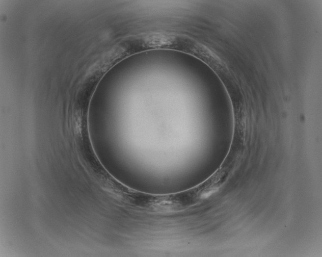 X0000068810315200605051152