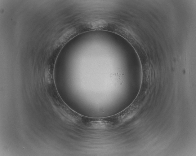 X0000068810316200605051151