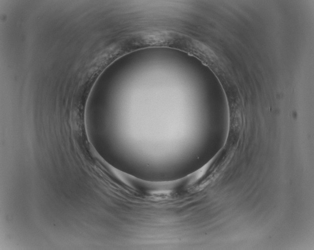 X0000068810317200605051151