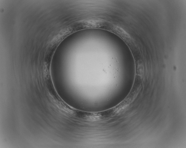 X0000068810318200605051151