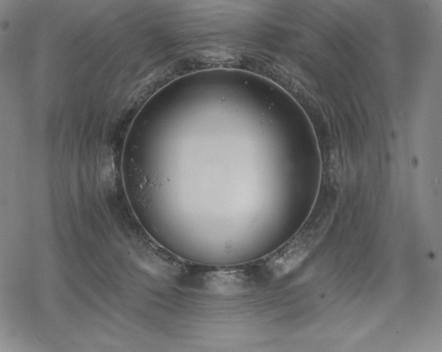 X0000068810320200605051151