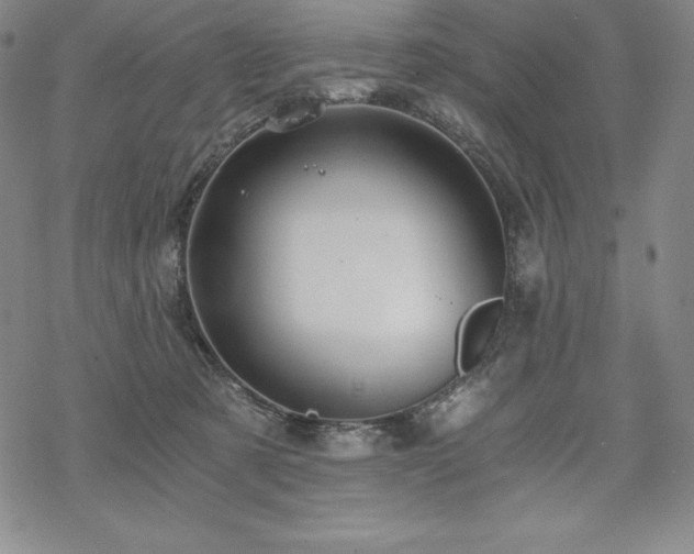 X0000068810321200605051151