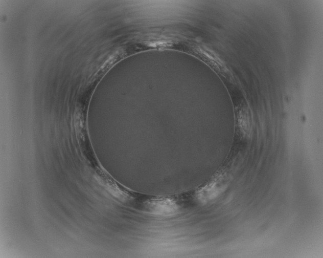 X0000068810322200605051151