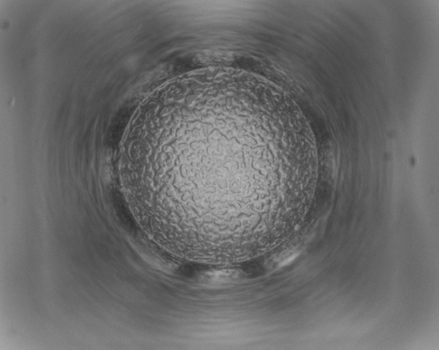 X0000068810323200605051151