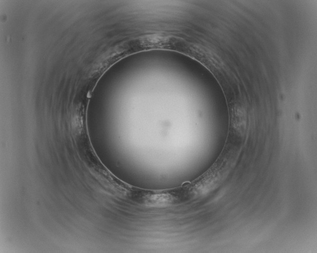 X0000068810324200605051151