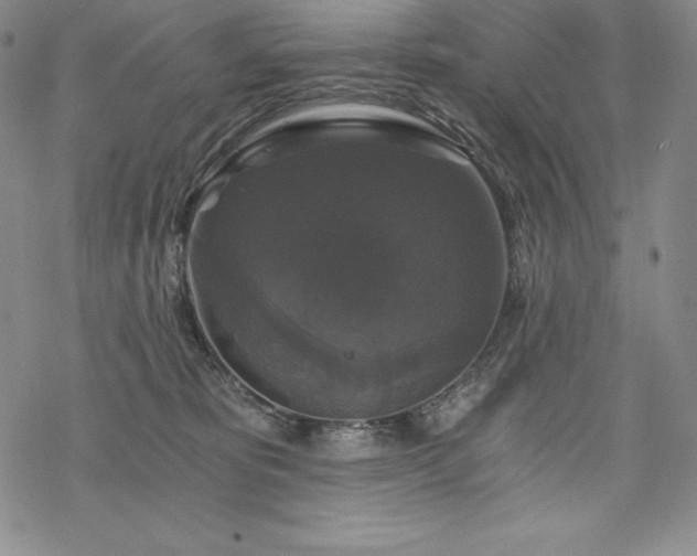 X0000068810325200605051151