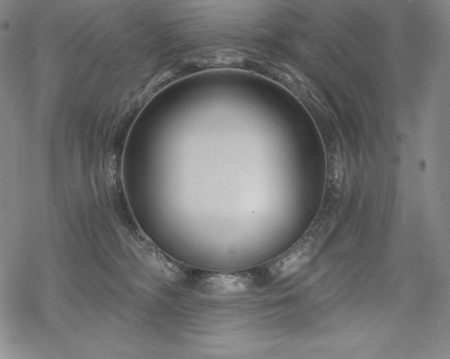 X0000068810326200605051151