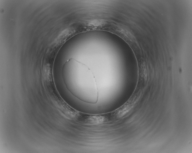 X0000068810328200605051151