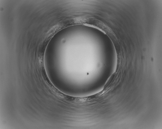 X0000068810329200605051151