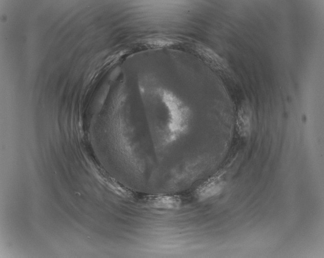 X0000068810330200605051151