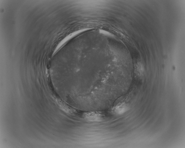 X0000068810331200605051151