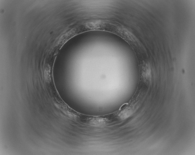 X0000068810332200605051151