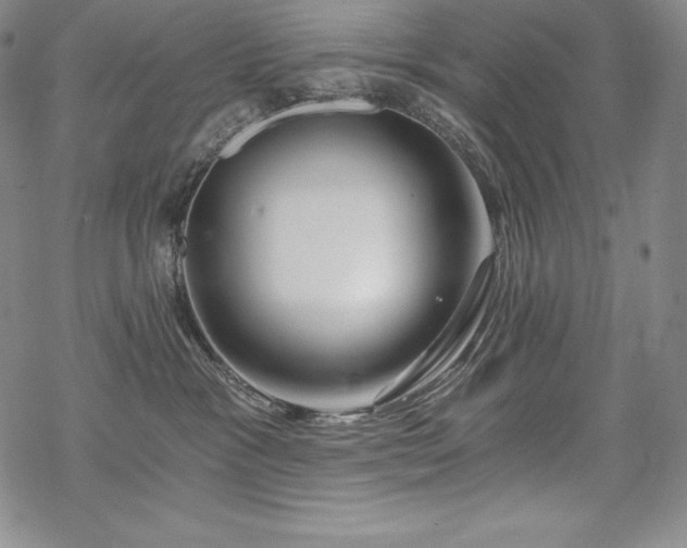 X0000068810333200605051151