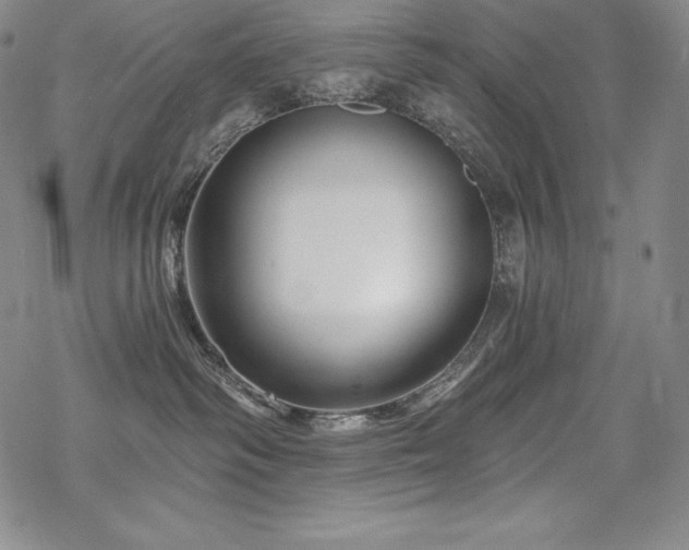 X0000068810334200605051151