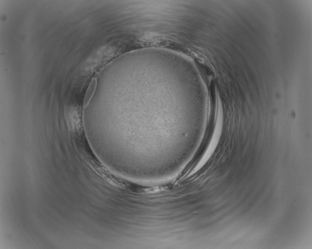 X0000068810335200605051151