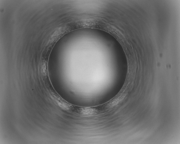 X0000068810336200605051151