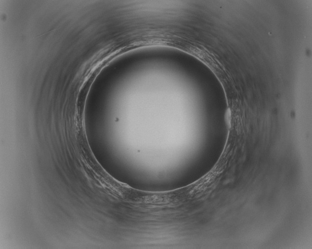 X0000068810338200605051150