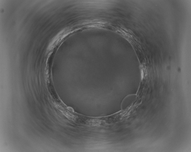 X0000068810339200605051150