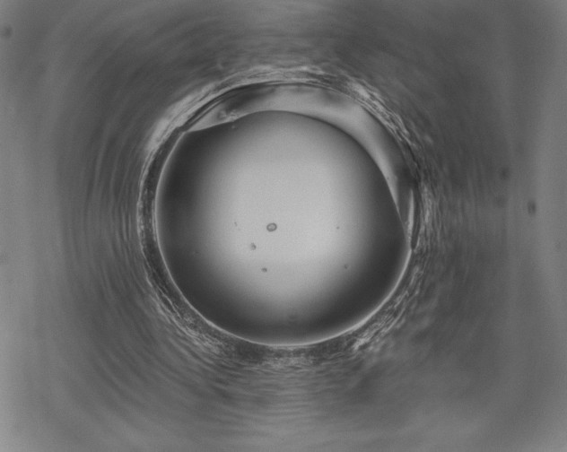 X0000068810340200605051150