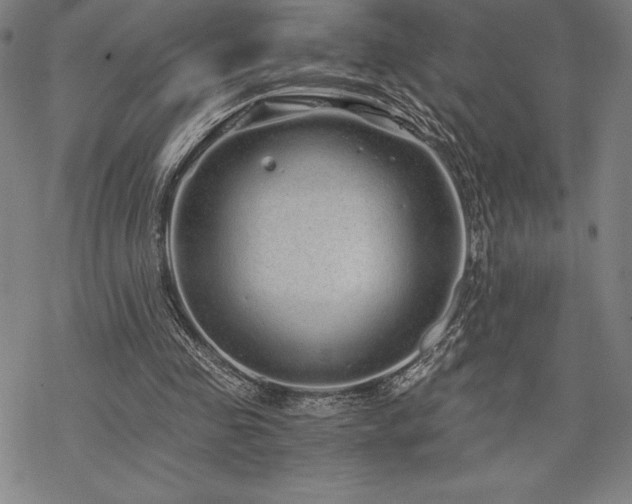 X0000068810341200605051150