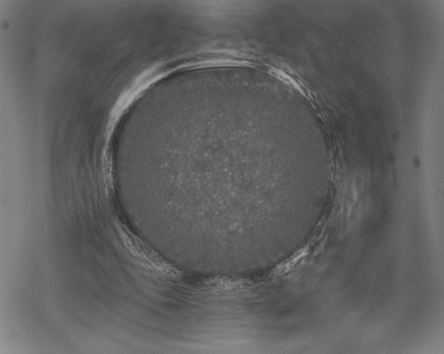 X0000068810343200605051150