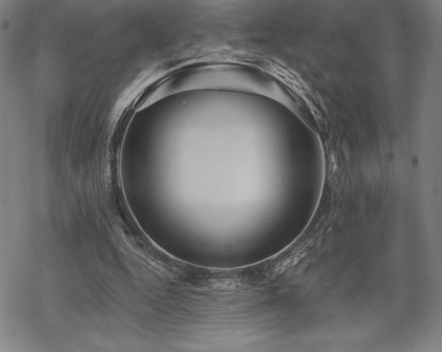 X0000068810344200605051150