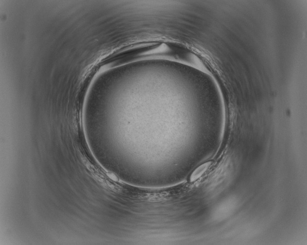 X0000068810345200605051151