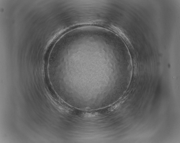 X0000068810346200605051151