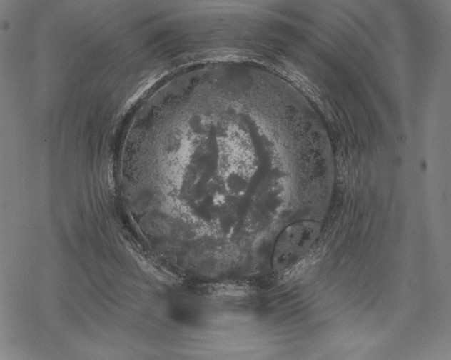 X0000068810347200605051151