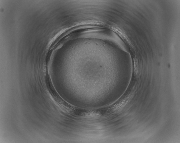 X0000068810348200605051151