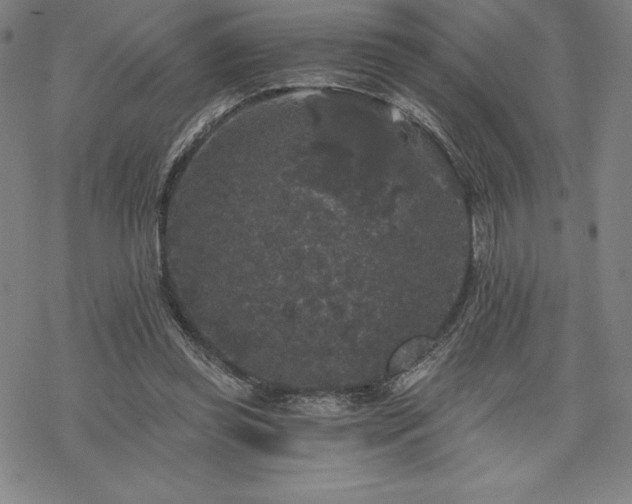 X0000068810349200605051151