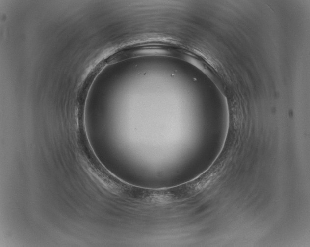 X0000068810350200605051151