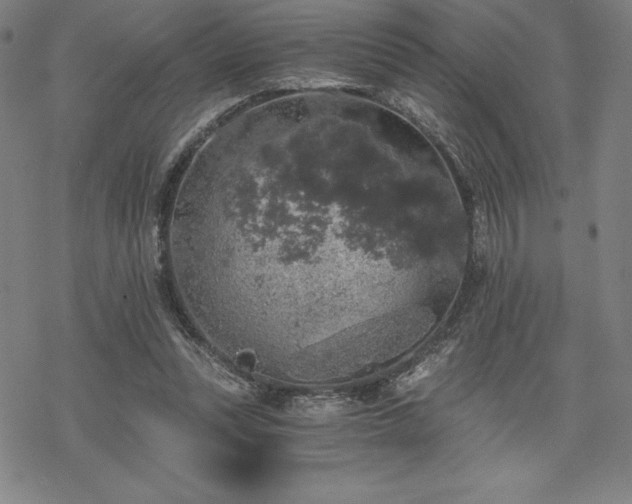 X0000068810351200605051151