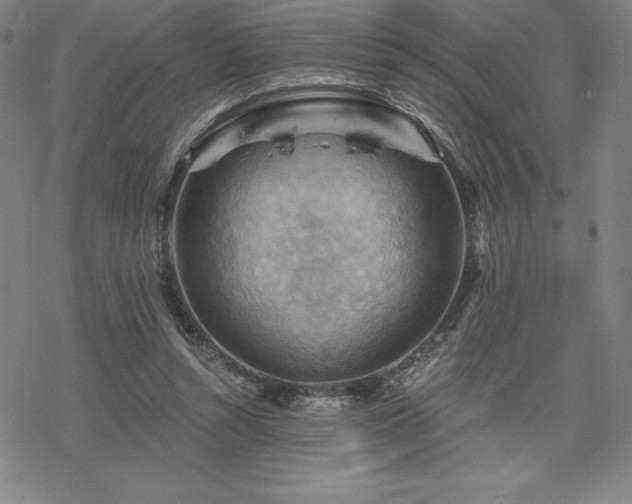 X0000068810352200605051151